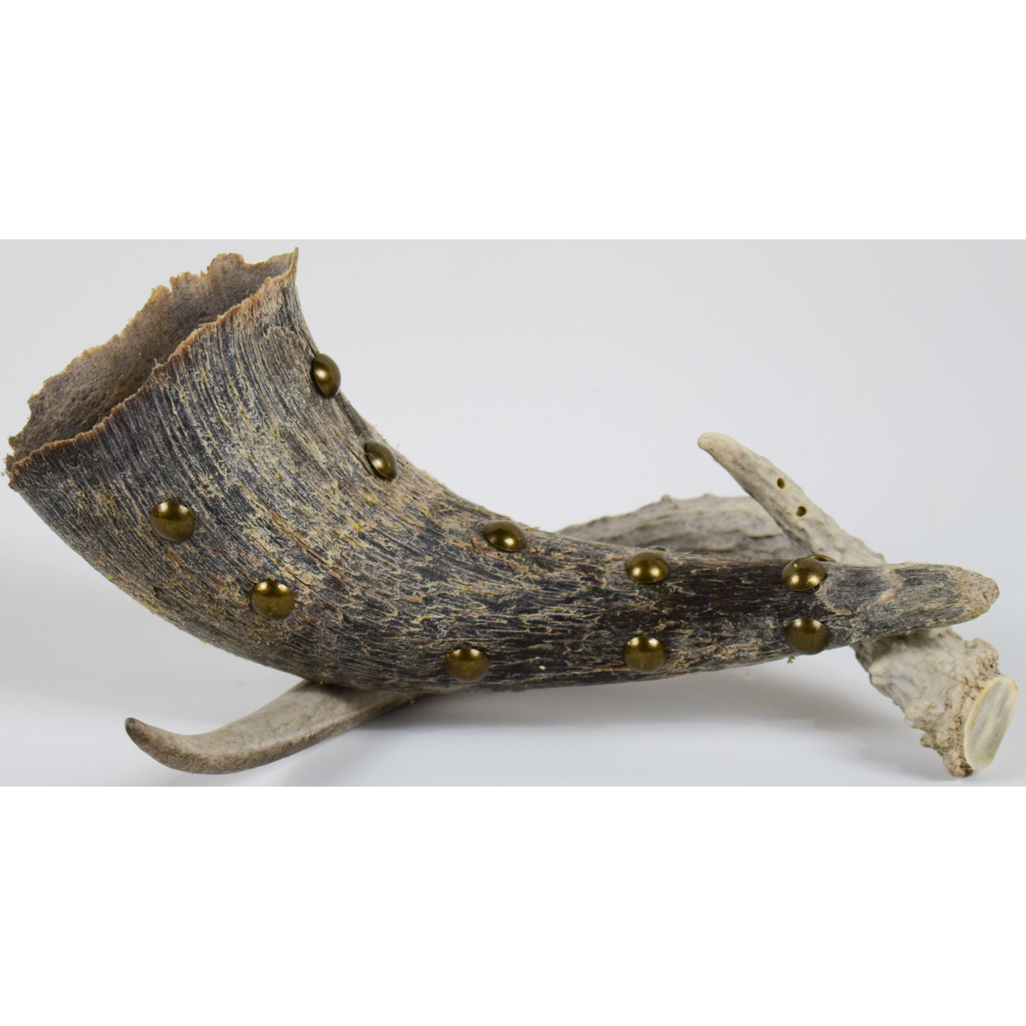 Buffalo Horn Sage Holder (Brass Tacks)