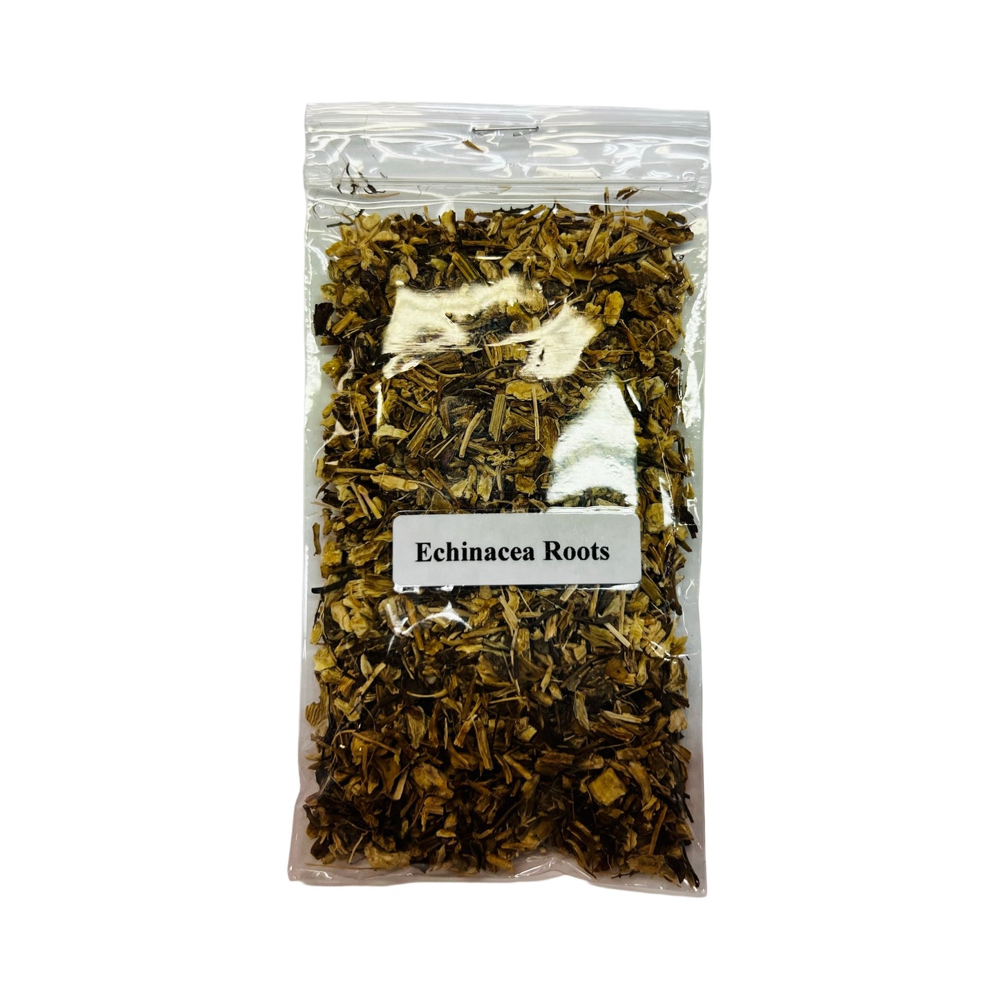 Echinacea