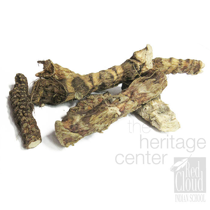 Bear Root