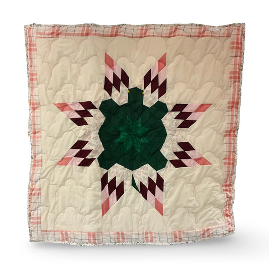 SC Turtle Baby Star Quilt