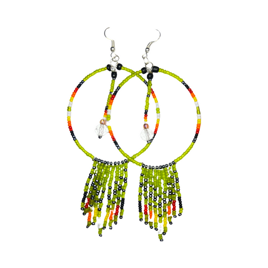 LZ Hoop & Dangle Earrings