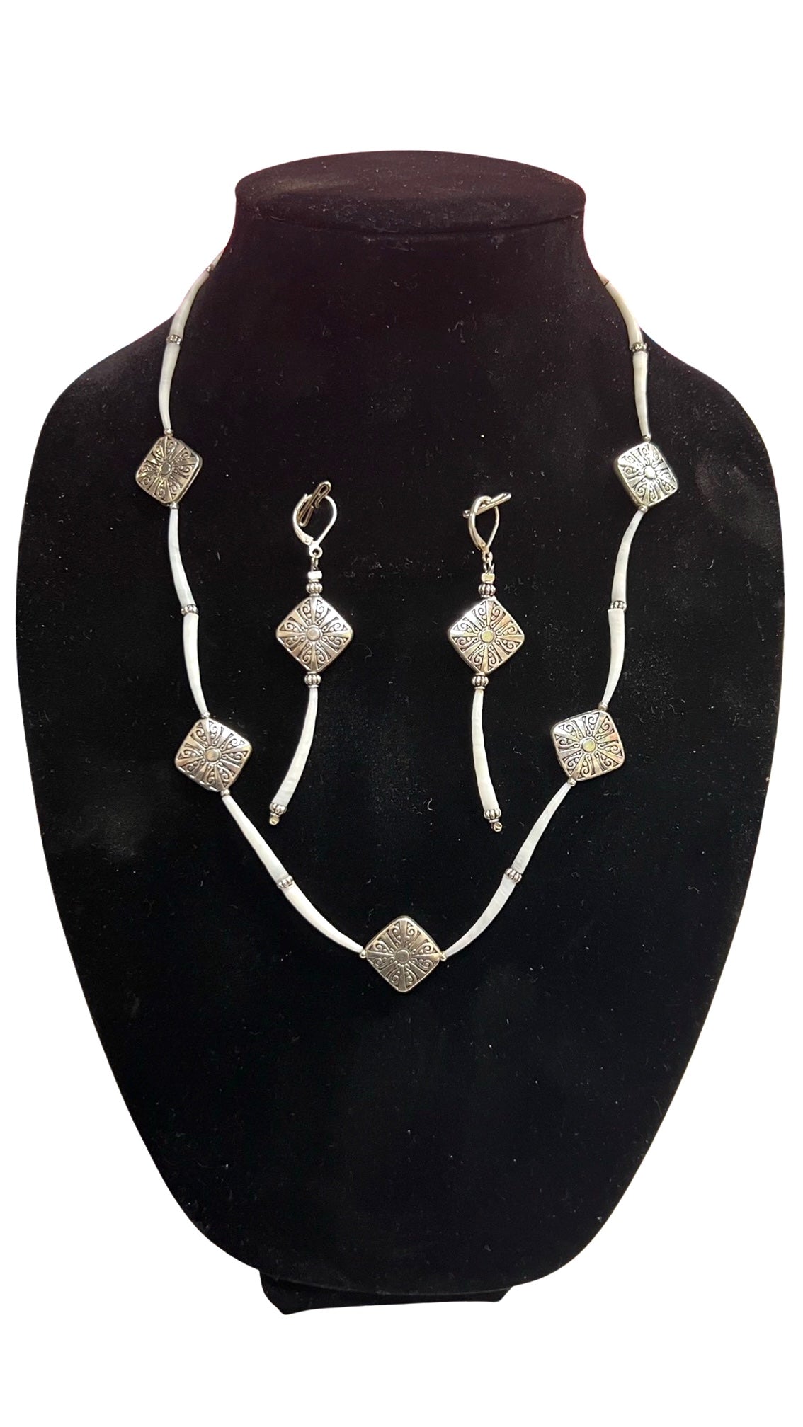 BN Dentalium Necklace & Earring Set