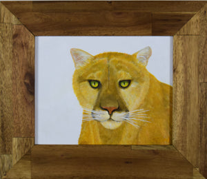 Joanne (Cougar)