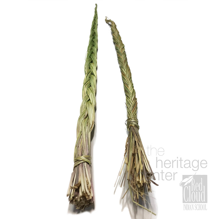 Sweetgrass - Large